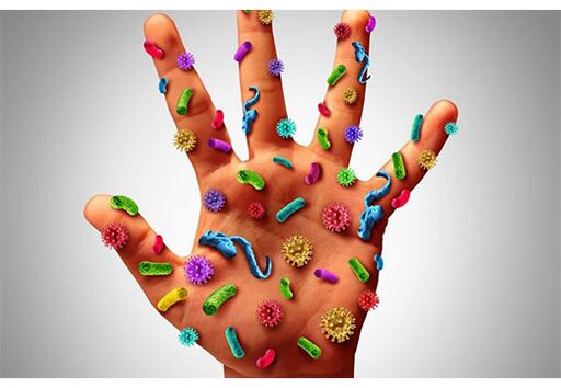 Os focos do virus do papiloma humano sitúanse nas mans