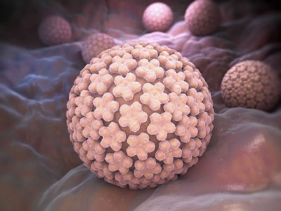 causas do VPH
